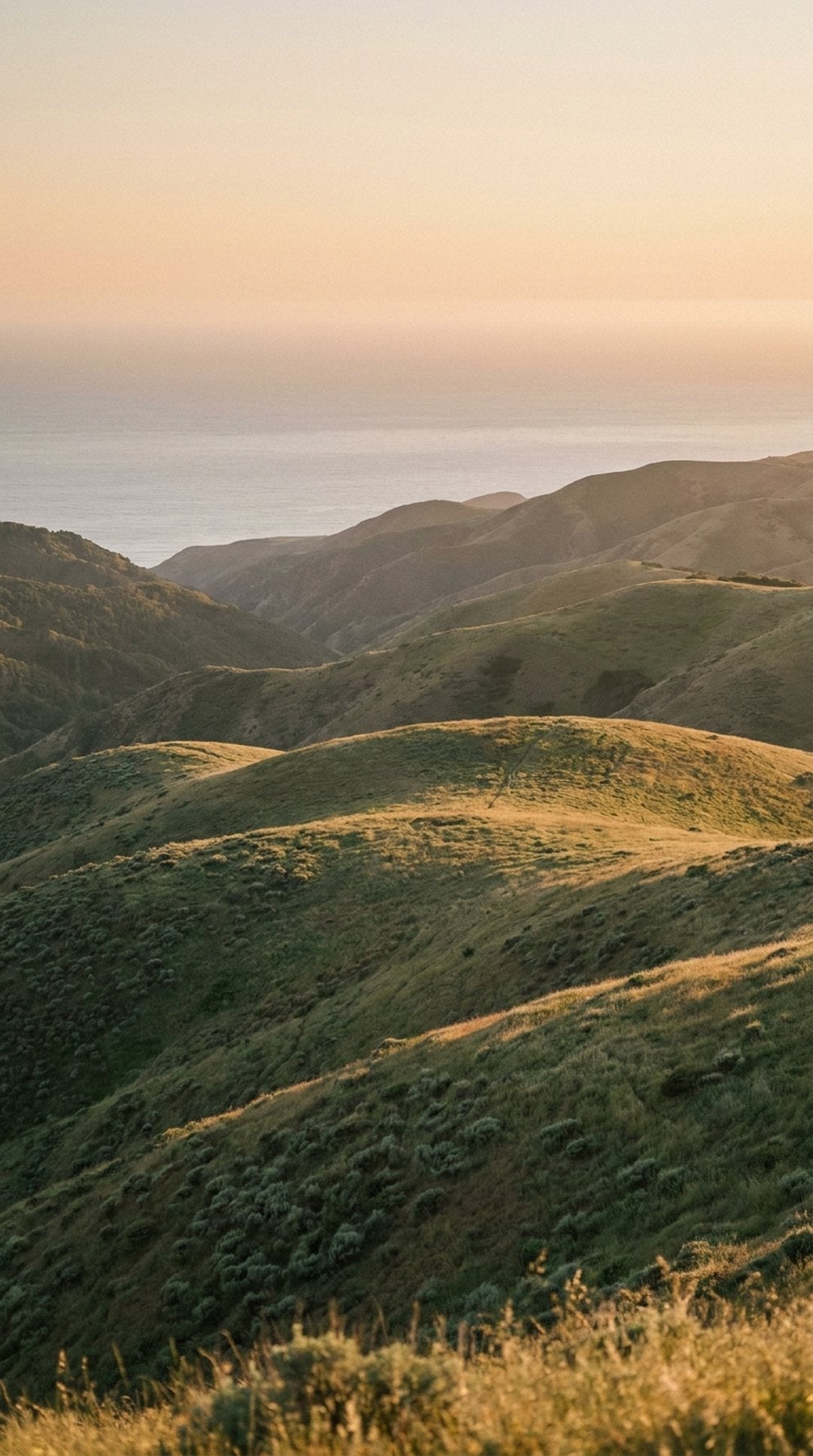 High-desert hills meeting the ocean at golden hour